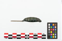 Foto von Bronzekahnfibel (NHMW-PRAE-023653)
